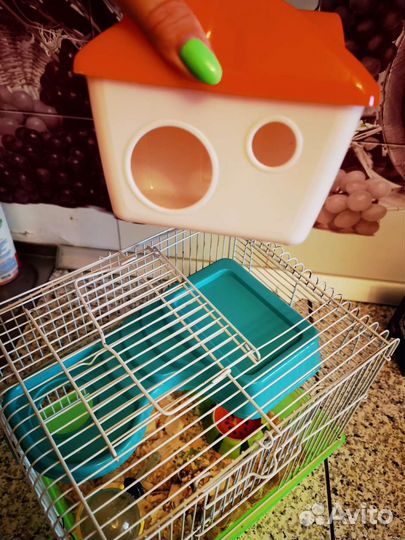 Клетка для грызунов