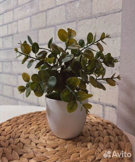 Искуственное растение в горшочке