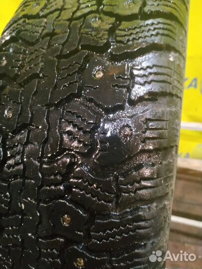 Gislaved Nord Frost Van 195/65 R15