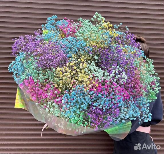 Гипсофила радужная