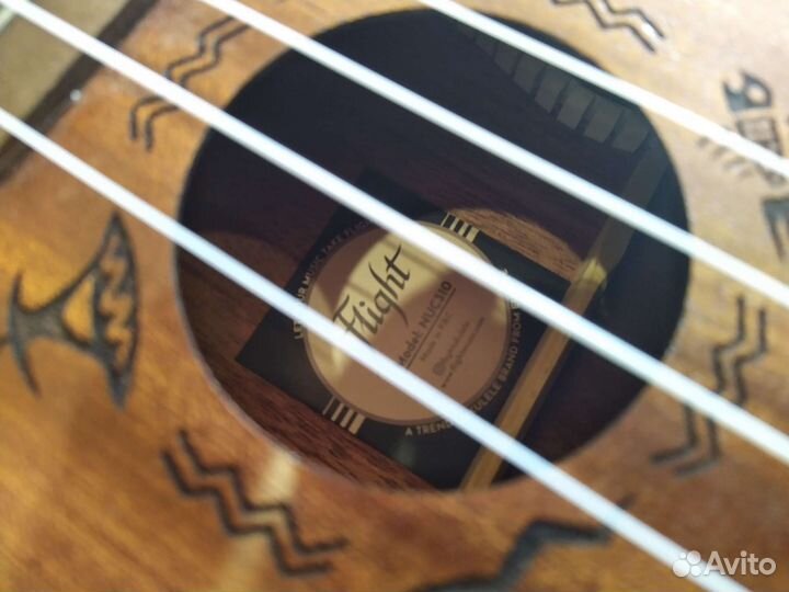 Укулеле flight