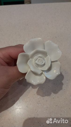 Мебельные ручки zara home