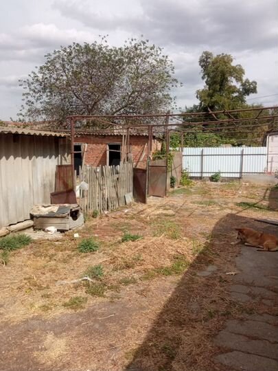 Дом 56,8 м² на участке 6 сот.