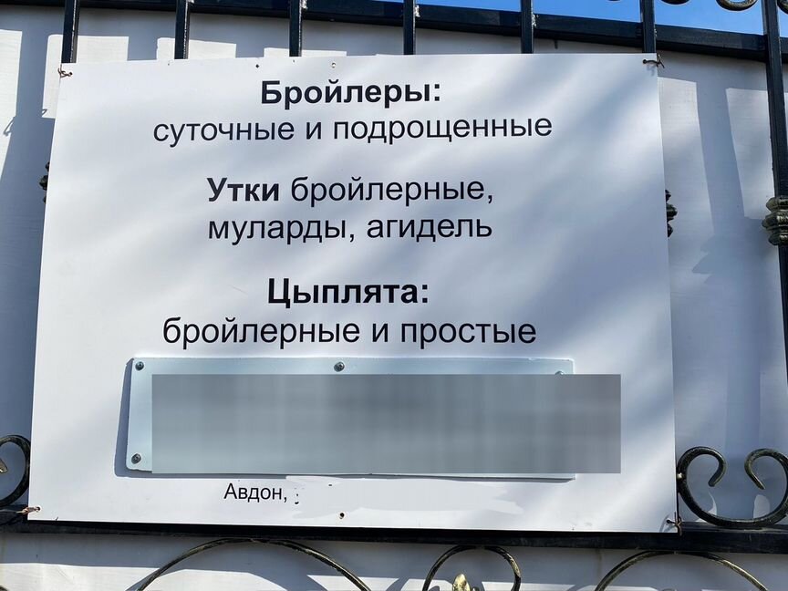 Бройлеры, утки, цыплята