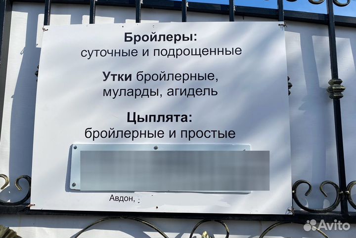 Бройлеры, утки, цыплята