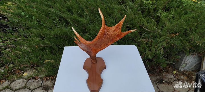 Вешалка сувенир из рогов лося