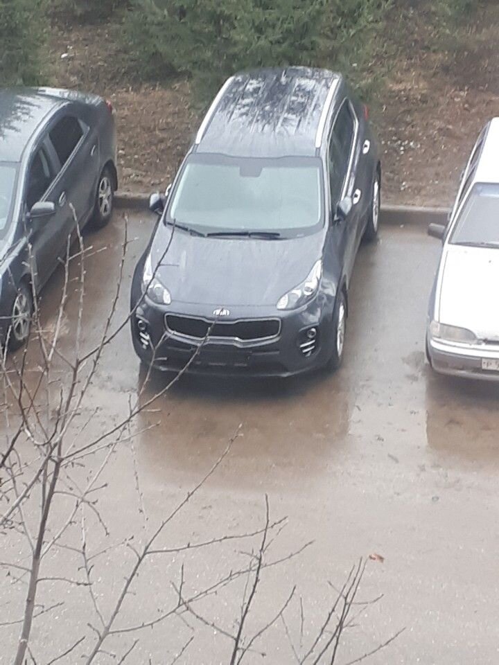 Kia Sportage: фото владельца