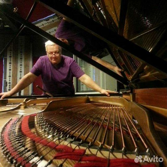 Струны пианино, рояля (навивка басов), настройка