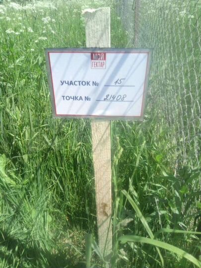 Участок 100 сот. (СНТ, ДНП)