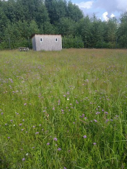 Участок 12 сот. (ИЖС)