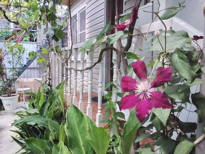 Комната 18 м², 1/2 эт.