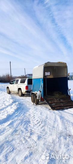 Перевозка домашних животных