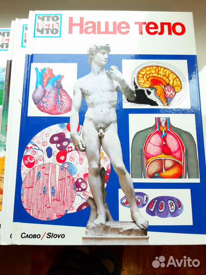 Энциклопедия для детей