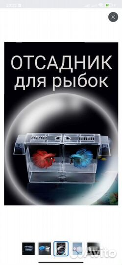 Отсадник для мальков