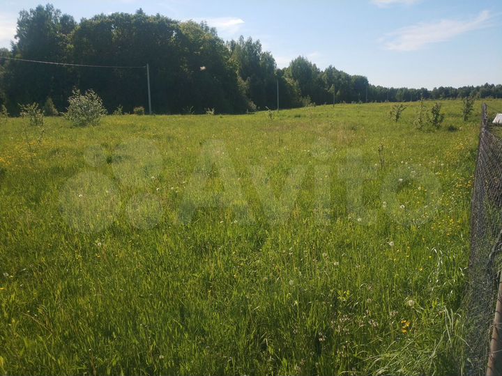 Участок 14,5 сот. (ИЖС)