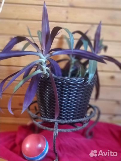 Пленные горшки, корзины из полимерной лозы 12 л