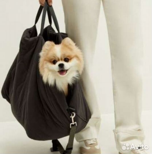 Сумка для собак
