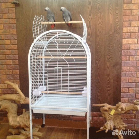 Большая клетка для птиц
