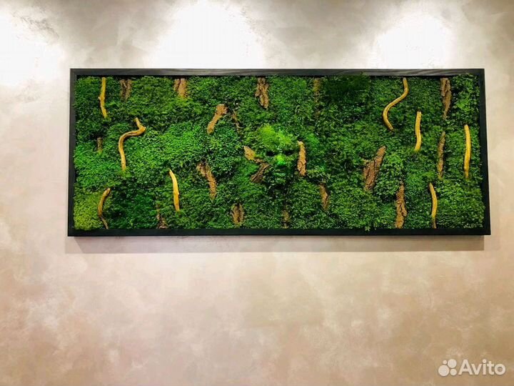 Фитопанели/ фитопанно / картины из мха/ озеленение
