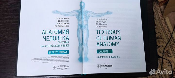 Анатомия человека