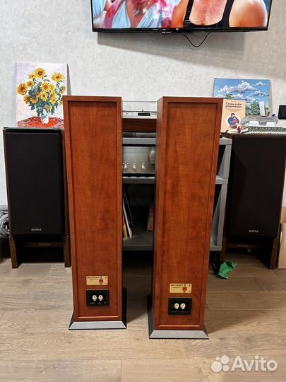 Напольные колонки dali concept 6