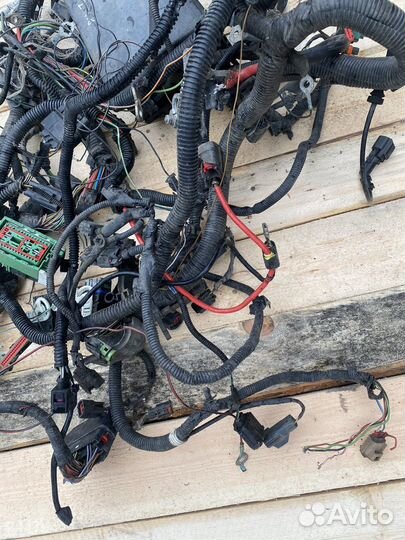 Моторная проводка ford focus 2 1,8 МКПП рестайлинг