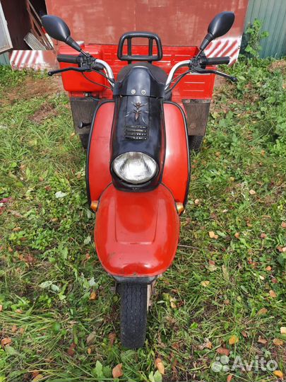 Продаю муравей