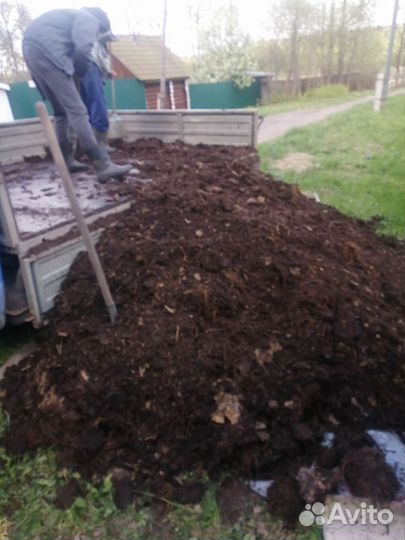 Чистеиший конский навоз без опил