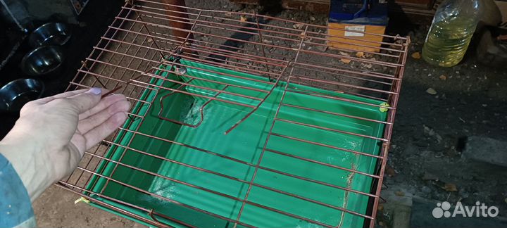 Клетка для грызунов большая