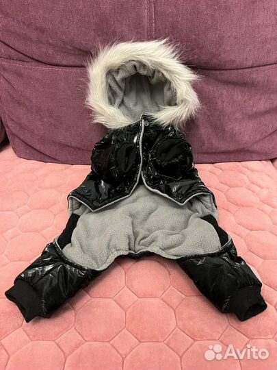 Одежда для собак