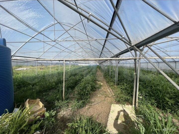 Участок 85 сот. (СНТ, ДНП)