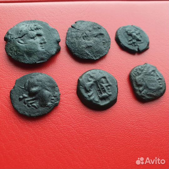 Античные монеты Боспорское царство