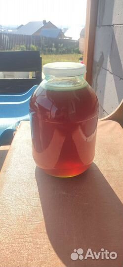 Свежий мёд 2023