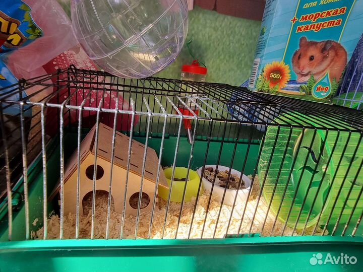 Клетка для грызунов