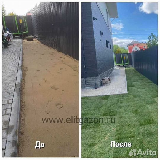 Рулонный газон /продажа/укладка