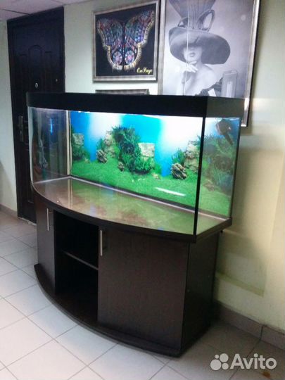 Аквариум 600л. Полукруглый, свет, биофильтр, тумба