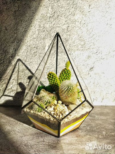 Флорариум с кактусами