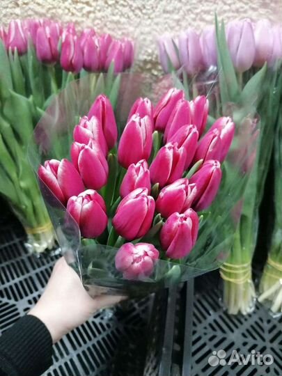 Тюльпаны и розы