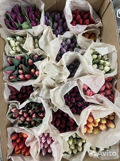 Тюльпаны к 8 марта оптом розница букеты