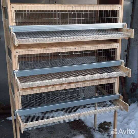 Клетка для перепелов