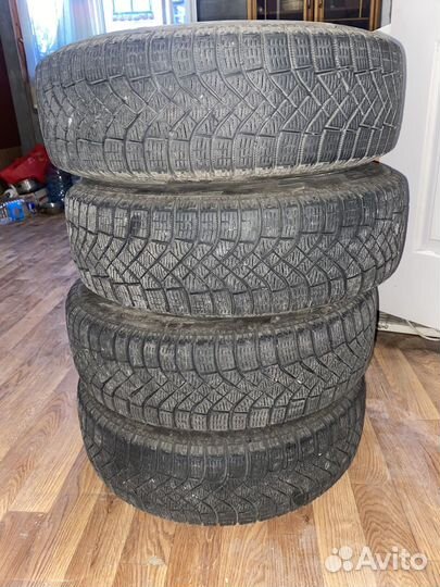 Pirelli P Zero Corsa 175/65 R14