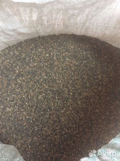 Еловое семя - корм Клестам, всем зерноядным птицам