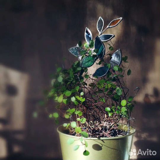 Опора для растений