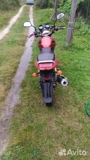 Racer RC250-C5B