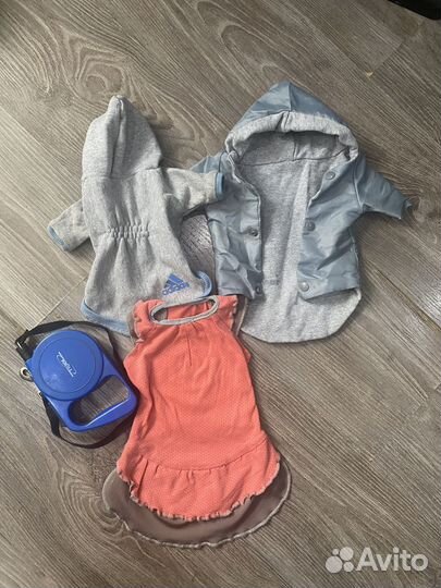 Одежда для маленькой собачки