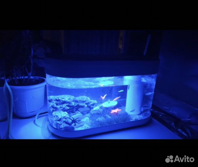 Аква-ферма Xiaomi geometry fish tank
