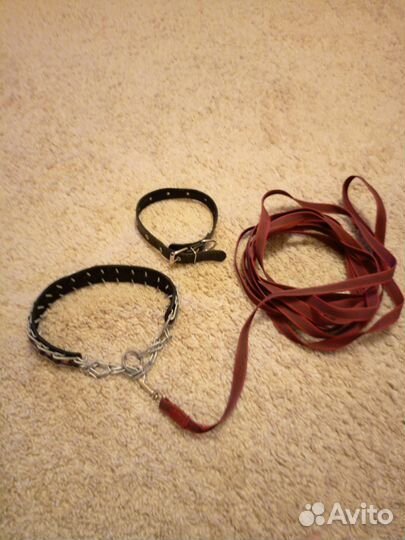Ошейник строгач с поводком и просто ашейник новое
