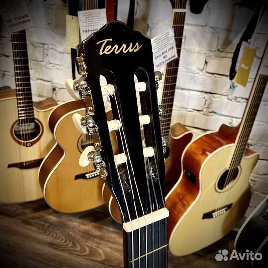Классическая гитара 4/4 terris TC-395A BK