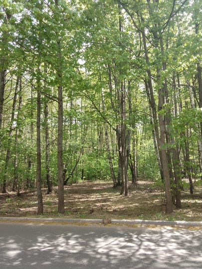 Апартаменты-студия, 22,6 м², 1/1 эт.