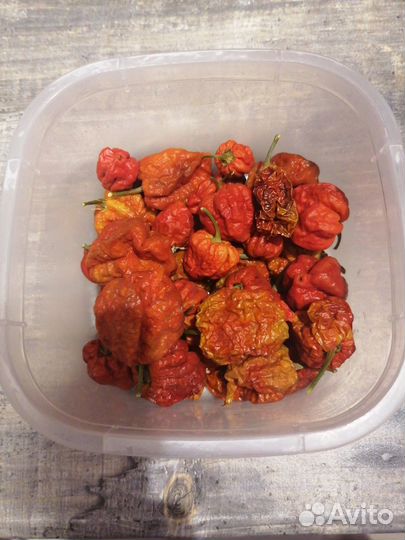 Тринидад, Нага морич, Чили